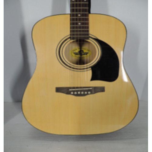 Washburn Lyon LG1 Kit