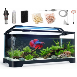 Aquarium Supplies